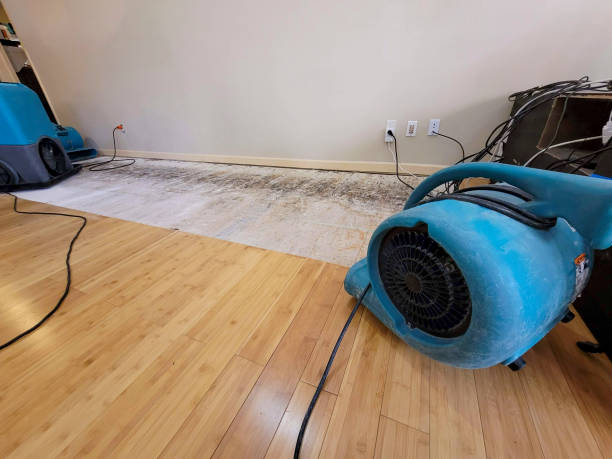 Professional Burst Pipe Water Damage technician working in Beaver Dam, AZ